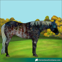 Horse Color:ERROR: UNKNOWN ANOMALY