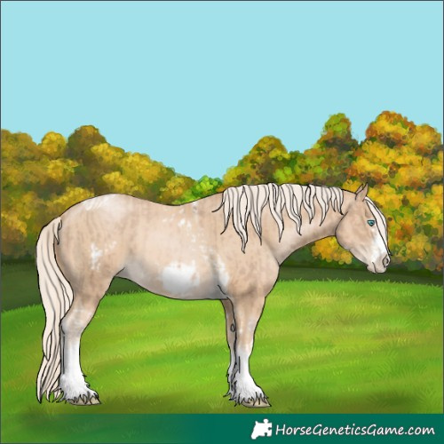 Horse Color:Chocolate Palomino Pearl Tobiano Frame  and Palomino Pearl Tobiano Frame 