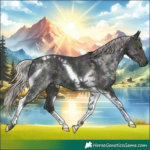 Horse Color:Midnight Silver Buckskin Ice Dun Tobiano 