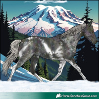 Horse Color:Midnight Silver Buckskin Ice Dun Tobiano 