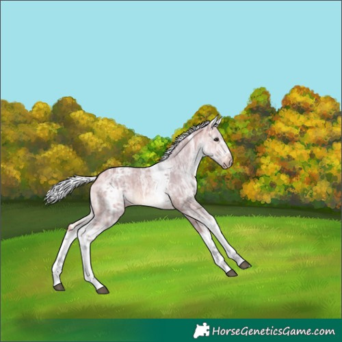 Horse Color:Watercolor White Spotted Silver Bay Ice Dun 