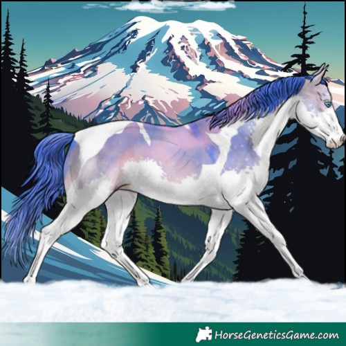 Horse Color:Watercolor Bay Dun Splash Tobiano 