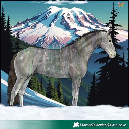 Horse Color:Void Buckskin Ice Roan Onyx Brindle 