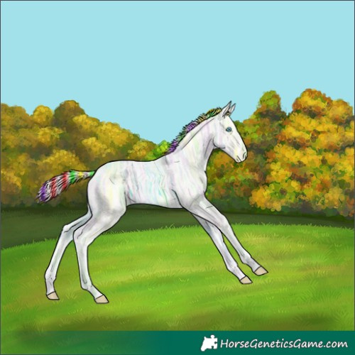Horse Color:Platinum Painted Buckskin Ice Pearl 