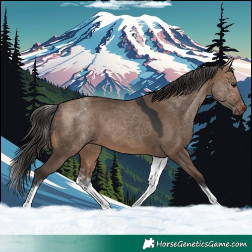 Horse Color:White Spotted Brown Dun Tobiano 