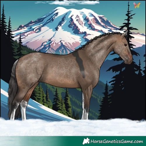 Horse Color:White Spotted Brown Dun Tobiano 