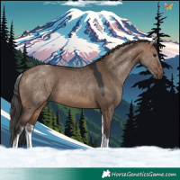 Horse Color:White Spotted Brown Dun Tobiano 