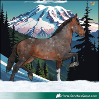 Horse Color:Bay Tobiano