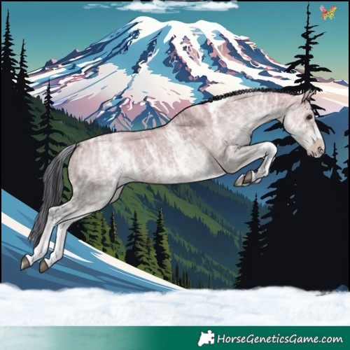 Horse Color:Painted White Spotted Brown Ice Dun Tobiano