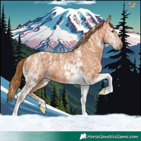 Horse Color:Chestnut Ice Tobiano 
