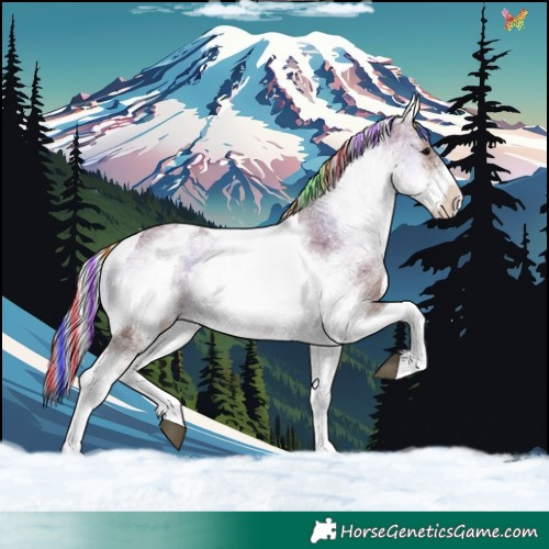 Horse Color:Painted White Spotted Silver Brown Onyx Tobiano 