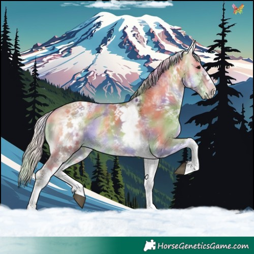 Horse Color:Nacre White Spotted Silver Smoky Grullo Onyx