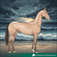Horse Color:Amber Champagne