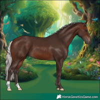 Horse Color:Silver Brown