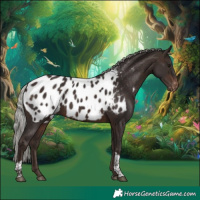 Horse Color:Silver Brown Tobiano Blanket