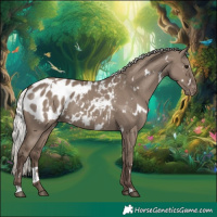 Horse Color:White Spotted Silver Grullo Blanket Rabicano 