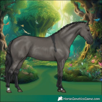 Horse Color:Grullo Rabicano 