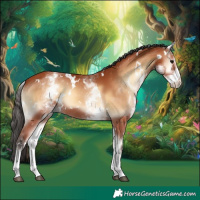 Horse Color:White Spotted Bay Onyx Rabicano