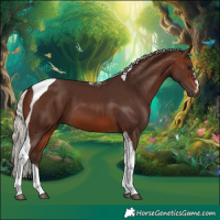 Horse Color:Silver Brown Tobiano 