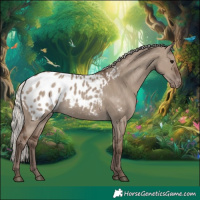 Horse Color:Silver Grullo Blanket Rabicano 