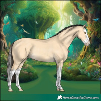Horse Color:Buckskin Dun Splash Rabicano 