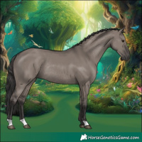 Horse Color:Smoky Grullo Rabicano 
