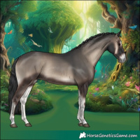 Horse Color:Blue Onyx Rabicano 