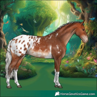 Horse Color:White Spotted Silver Bay Tobiano Appaloosa 