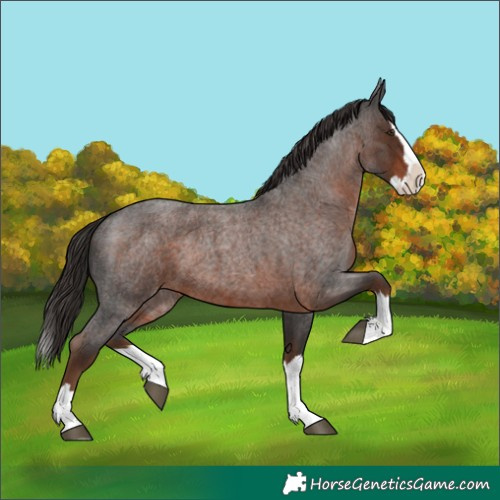 Horse Color:Liver Red Roan Splash