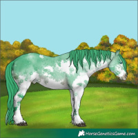 Horse Color:Watercolor Brown Splash 