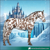 Horse Color:Silver Black Leopard 