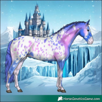 Horse Color:Watercolor White Spotted Smoky Blue Onyx Near Leopard Rabicano 