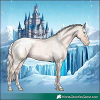 Horse Color:Watercolor Cremello Roan Appaloosa 