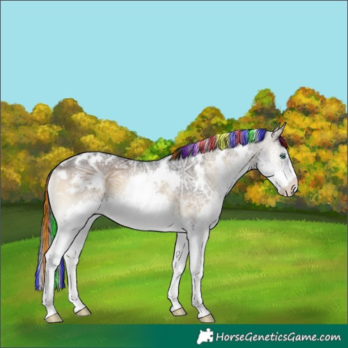 Horse Color:Painted White Spotted Brown Ice Onyx Splash