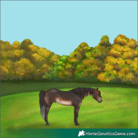 Horse Color:Brown 