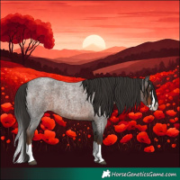 Horse Color:Liver Red Roan Splash