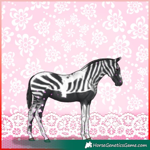 Horse Color:Black Tobiano 