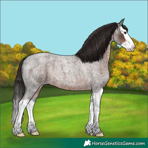 Horse Color:Liver Red Roan Splash