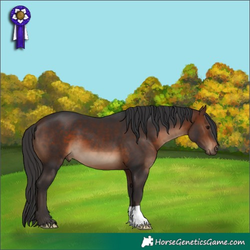 Horse Color:Brown 