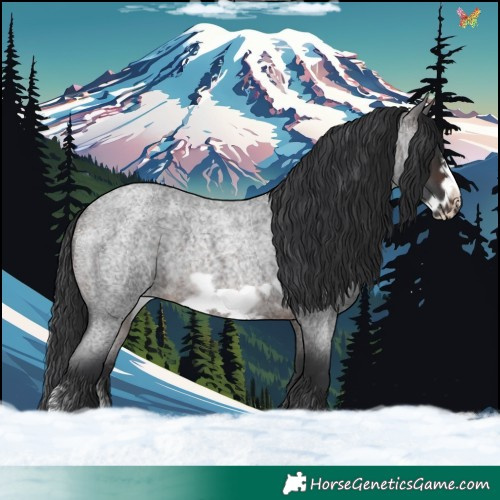 Horse Color:Brown Roan Sabino Frame 