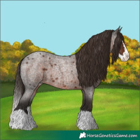 Horse Color:Liver Red Roan Splash
