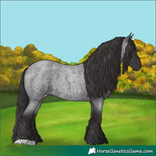 Horse Color:Smoky Blue Roan
