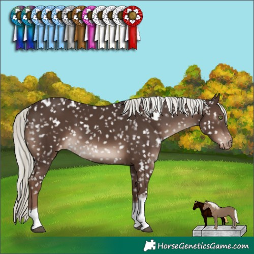 Horse Color:White Spotted Liver Chestnut Mushroom Tobiano Snowflake Varnish Rabicano 