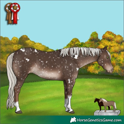 Horse Color:White Spotted Liver Chestnut Mushroom Tobiano Appaloosa Rabicano 