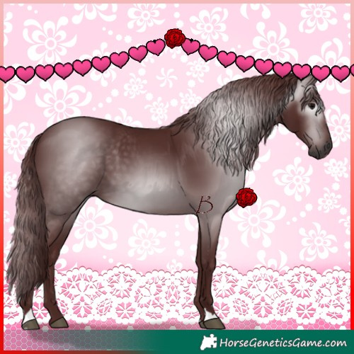 Horse Color:Gray Chocolate Black