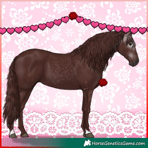 Horse Color:Gray Chocolate Black 