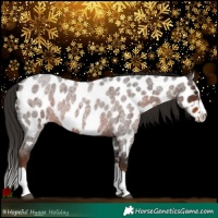Horse Color:Liver Red Roan Splash Near Leopard