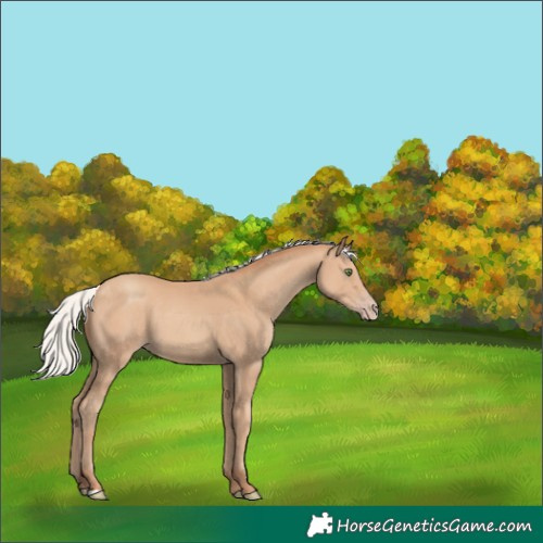 Horse Color:Silver Classic Champagne
