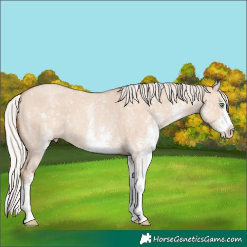 Horse Color:White Spotted Silver Classic Champagne Dun 