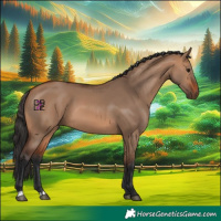 Horse Color:Bay Dun 